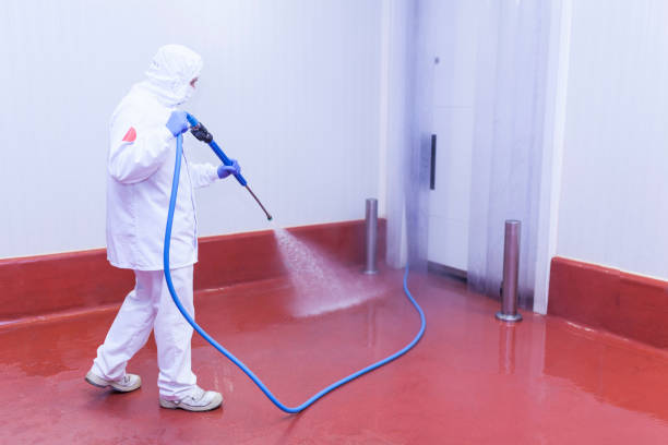 Pre-Holiday Cleaning in Hideaway, TX